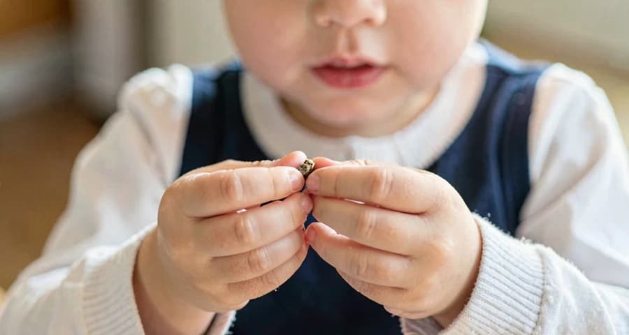 criança da creche escondendo objeto durante atividade de truque simples