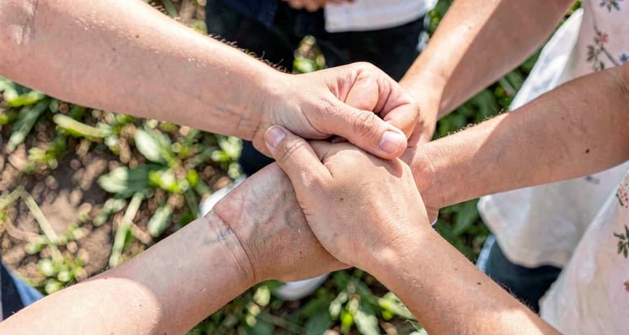mãos dadas de crianças em roda durante cantiga tradicional na creche