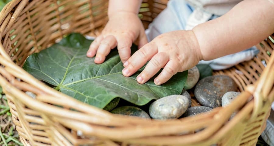 mãos de bebê tocando folhas e pedras em cesto de tesouros naturais na creche