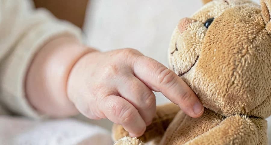 mão de bebê alcançando brinquedo familiar reencontrado na creche